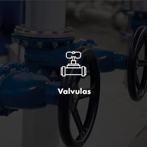 Valvulas